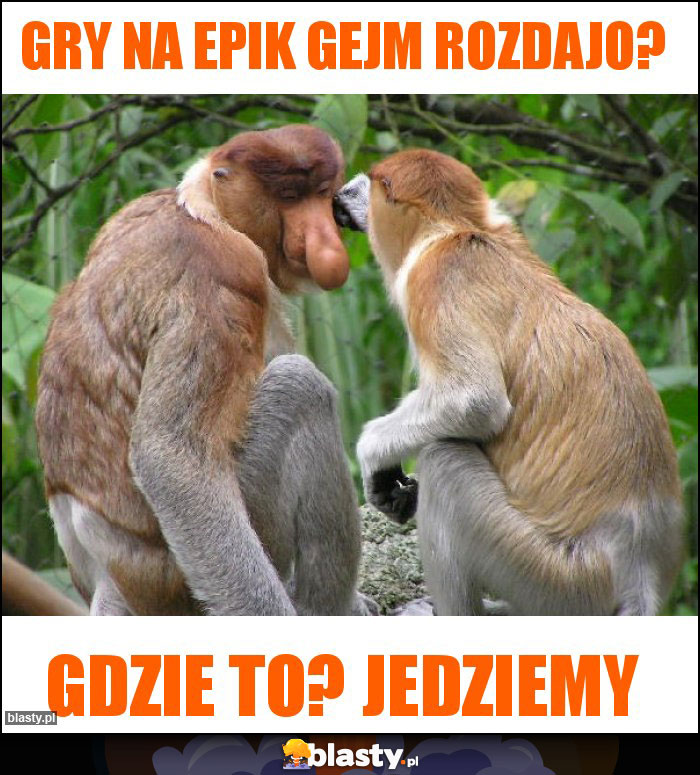 Gry na Epik gejm rozdajo?