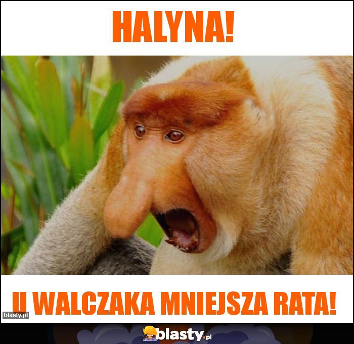 Halyna!