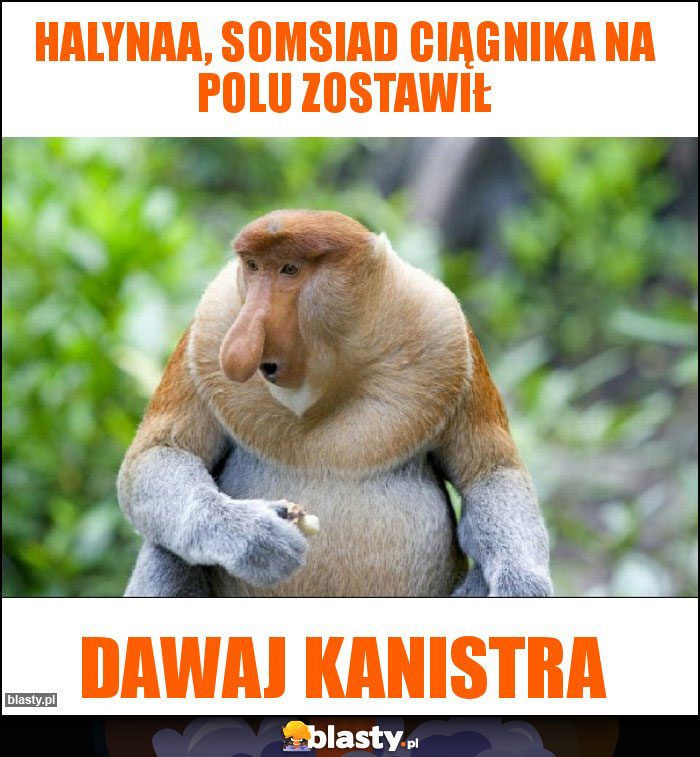 Halynaa, somsiad ciągnika na polu zostawił