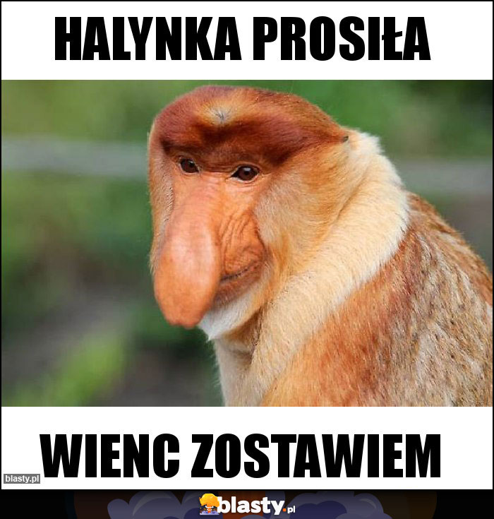 Halynka prosiła