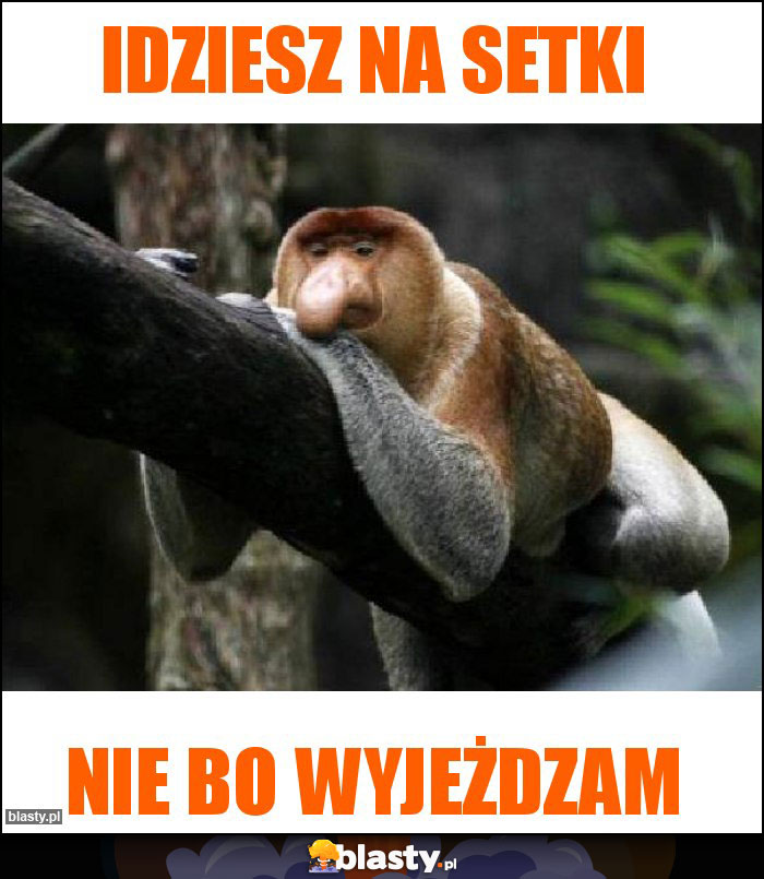 Idziesz na setki