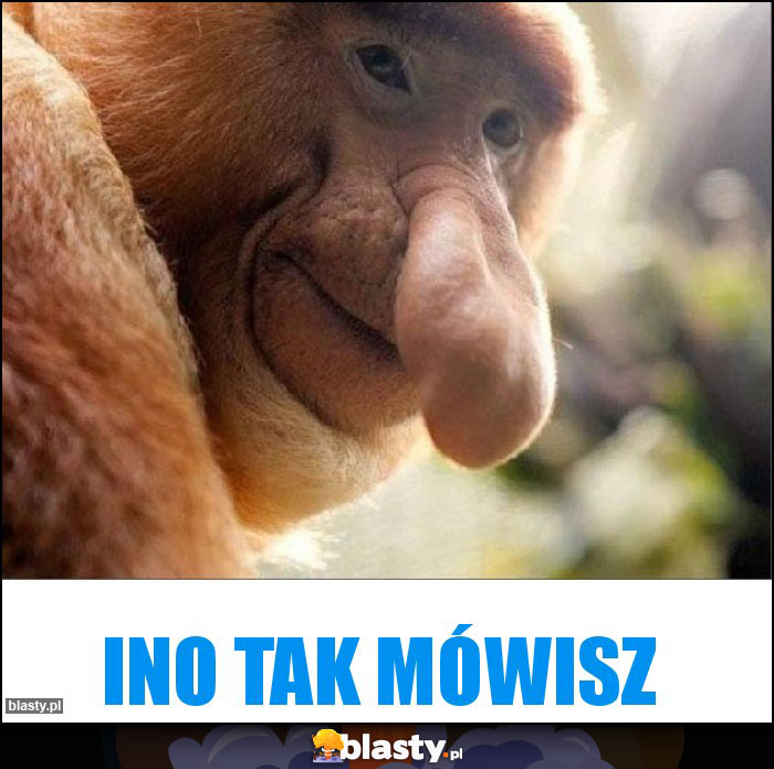 Ino tak mówisz