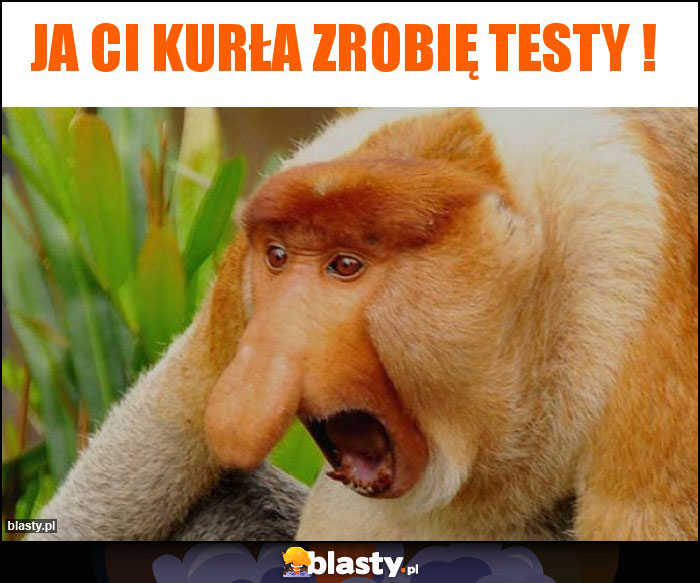 Ja Ci kurła zrobię TESTY !