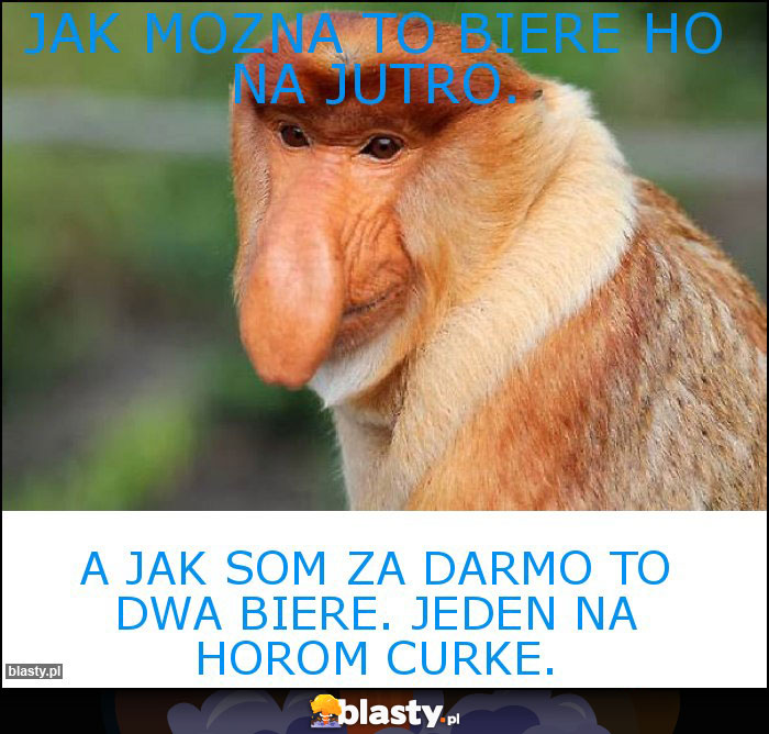 Jak mozna to biere HO na jutro.