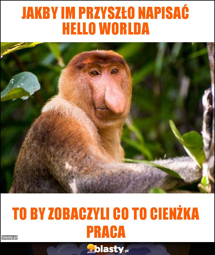 Jakby im przyszło napisać Hello worlda