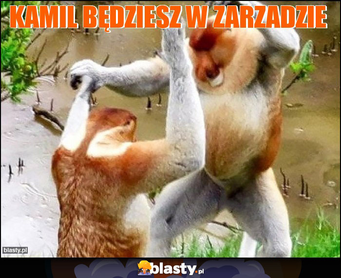 Kamil będziesz w zarzadzie