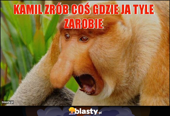 Kamil zrób coś gdzie ja tyle zarobie