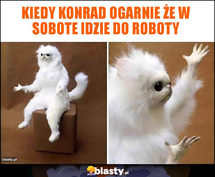 Kiedy Konrad ogarnie że w sobote idzie do roboty