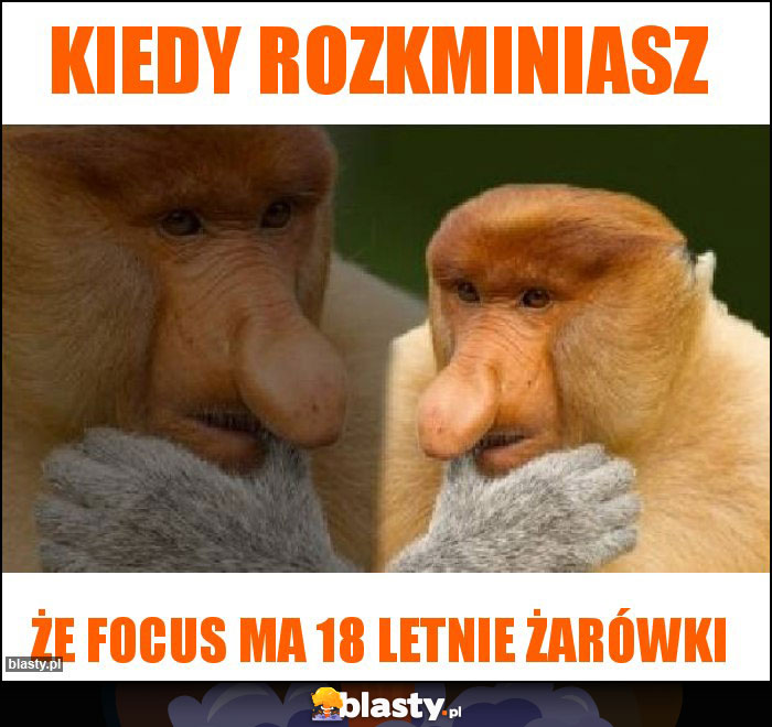 Kiedy rozkminiasz