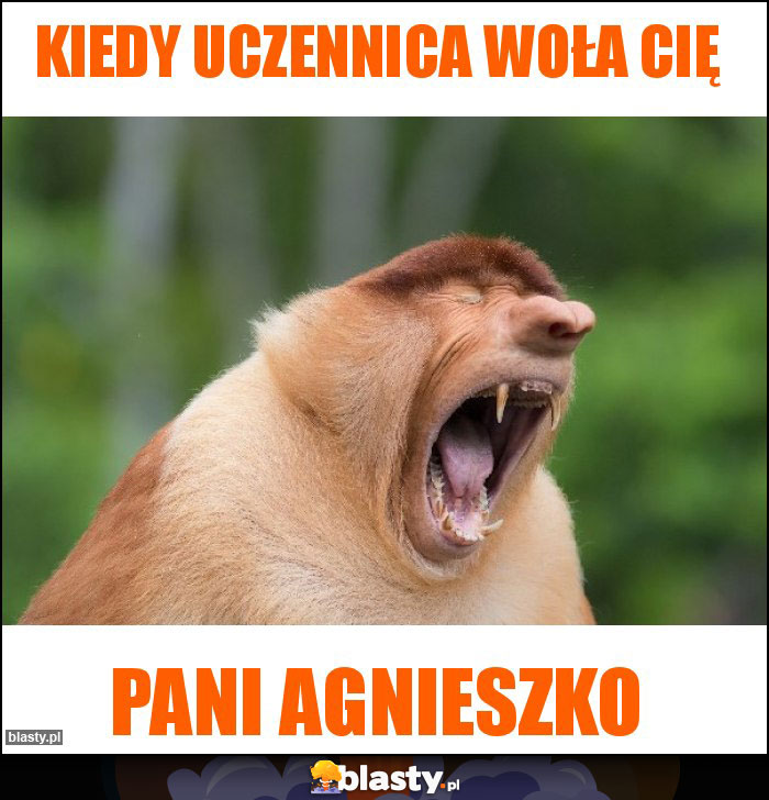 KIEDY UCZENNICA WOŁA CIĘ