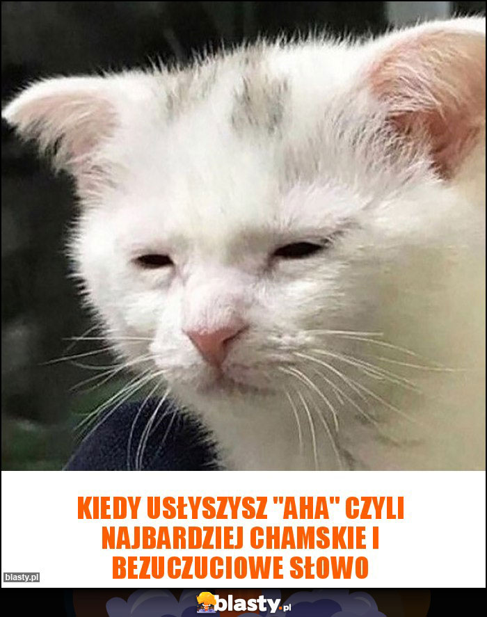 Kiedy usłyszysz 