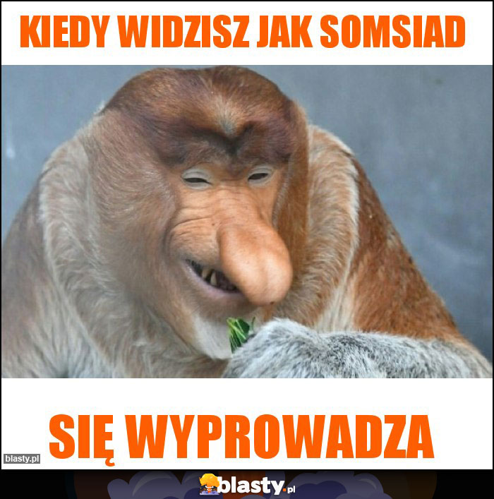 Kiedy widzisz jak somsiad