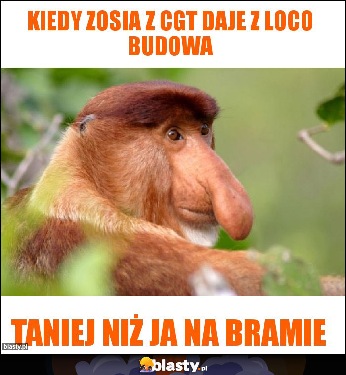 kiedy Zosia z CGT daje z loco budowa