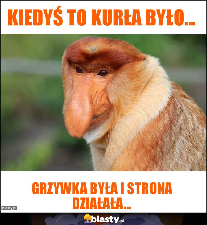 Kiedyś to kurła było...