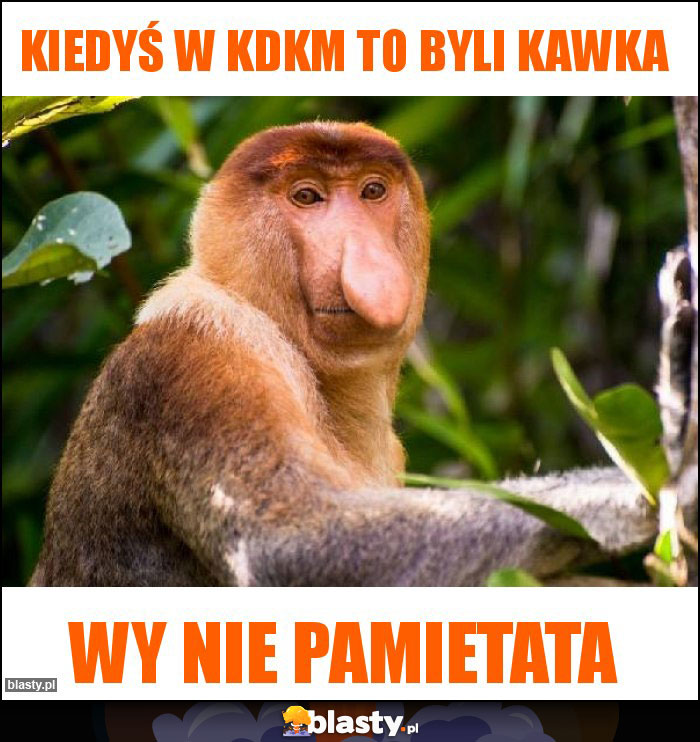 Kiedyś w KDKM to byli kawka