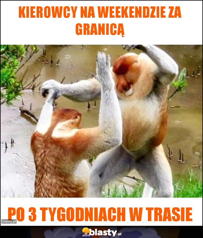 Kierowcy na weekendzie za granicą