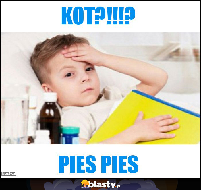 kot?!!!?