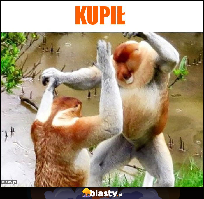 KUPIŁ