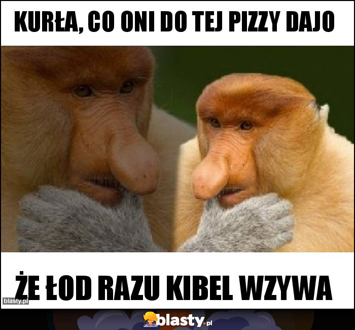 Kurła, co oni do tej pizzy dajo