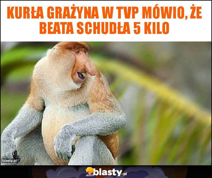 Kurła Grażyna w TVP mówio, że Beata schudła 5 kilo