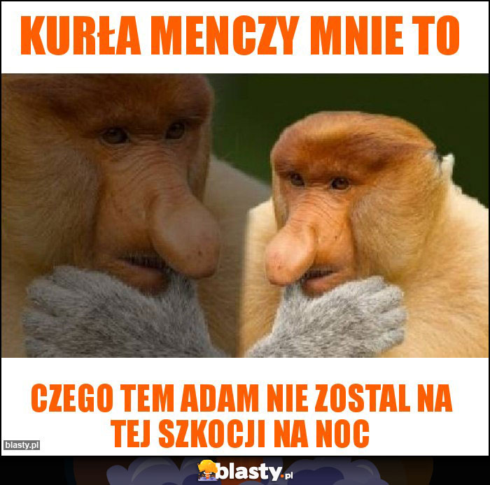 Kurła menczy mnie to