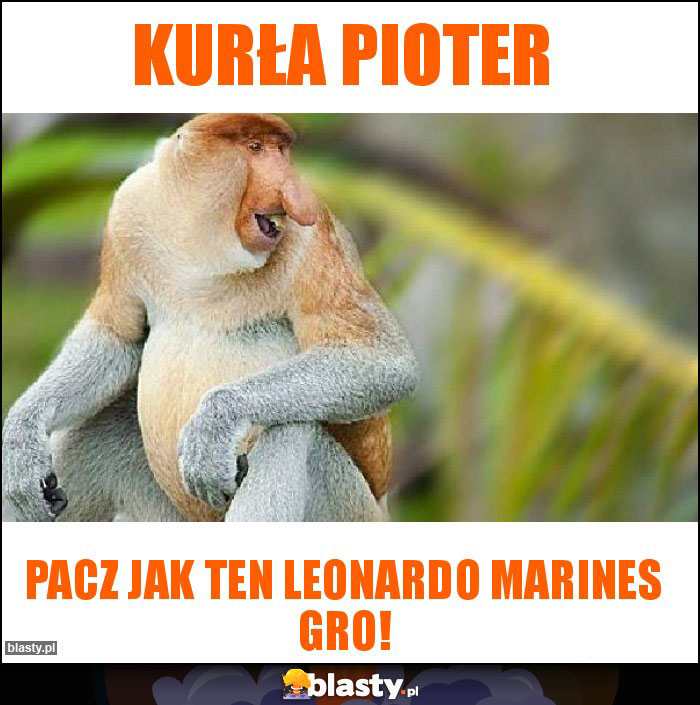 Kurła Pioter