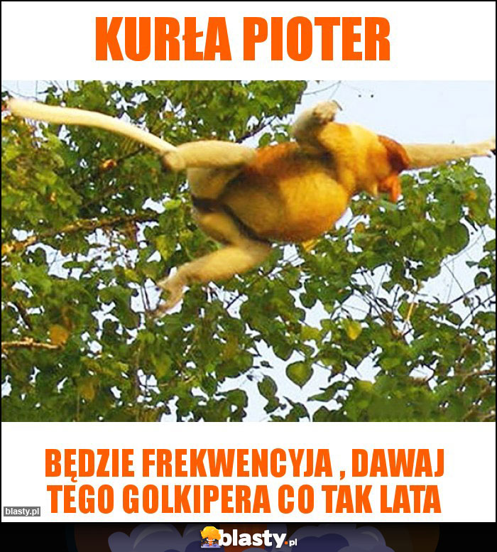 Kurła pioter