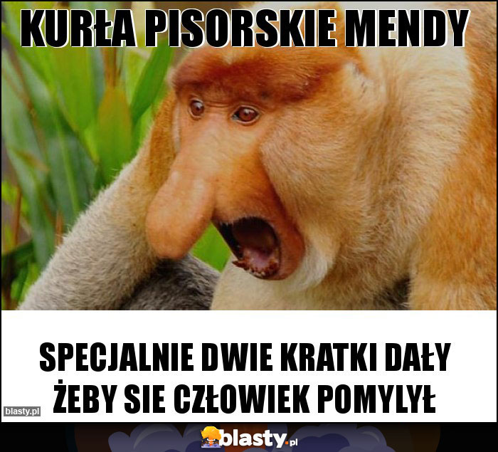 kurła pisorskie mendy