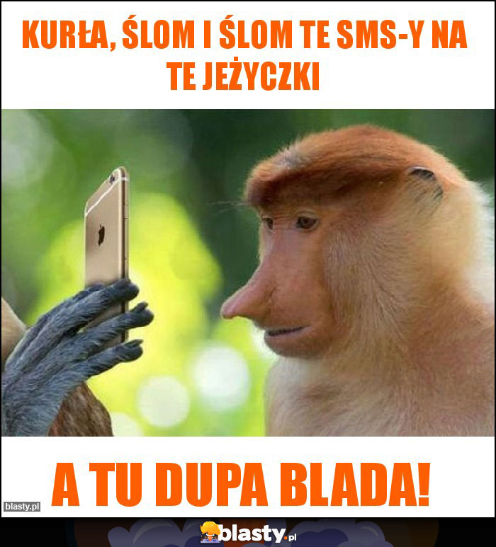 Kurła, ślom i ślom te sms-y na te Jeżyczki