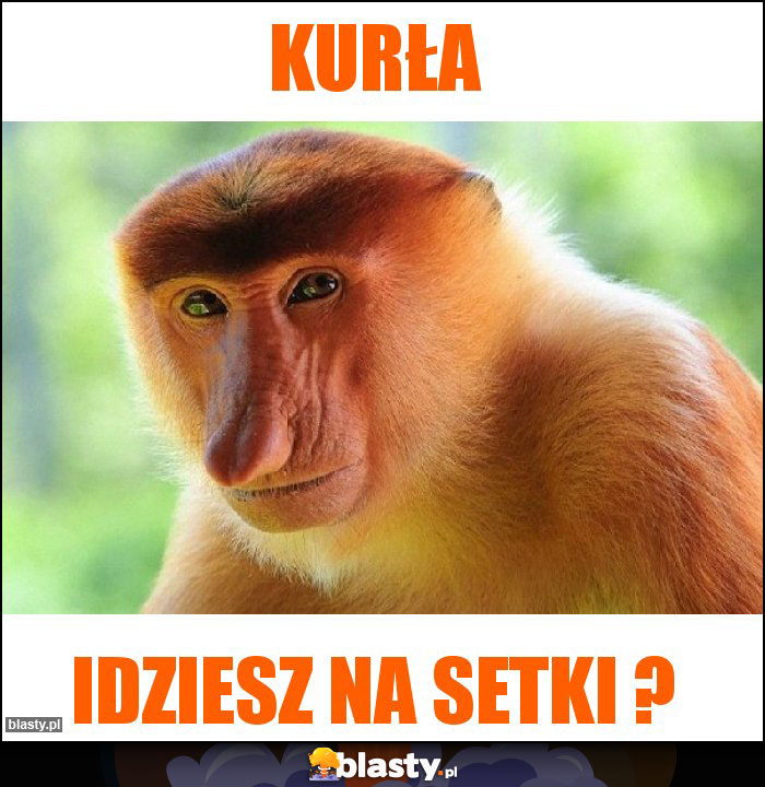 KURŁA