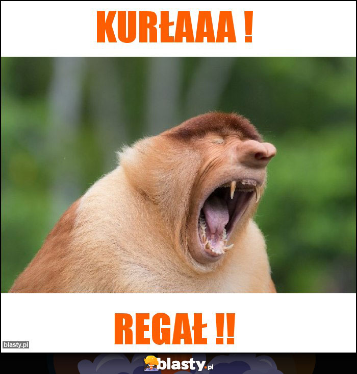 KURŁAAA !