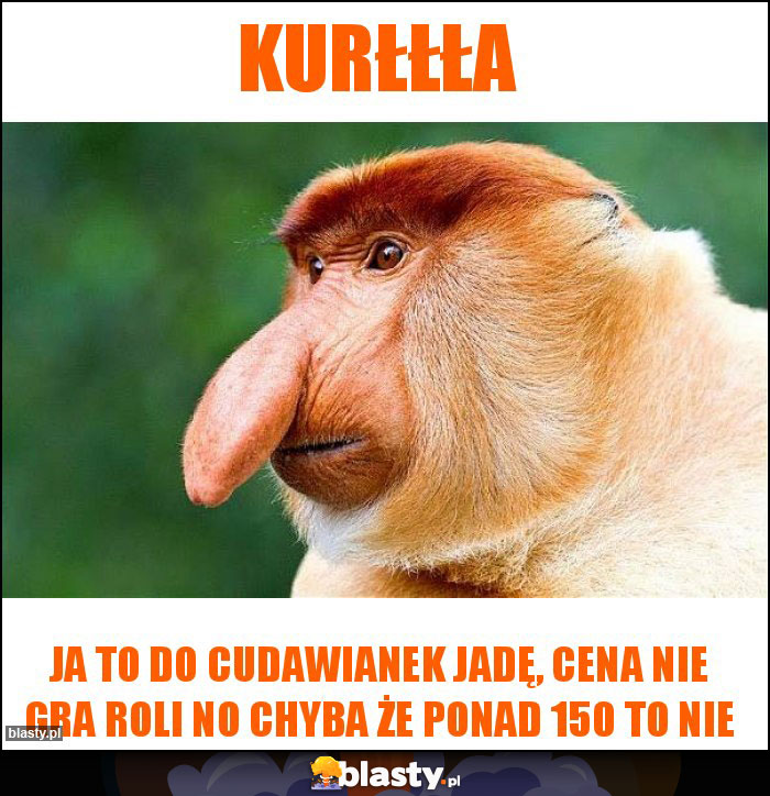 Kurłłła