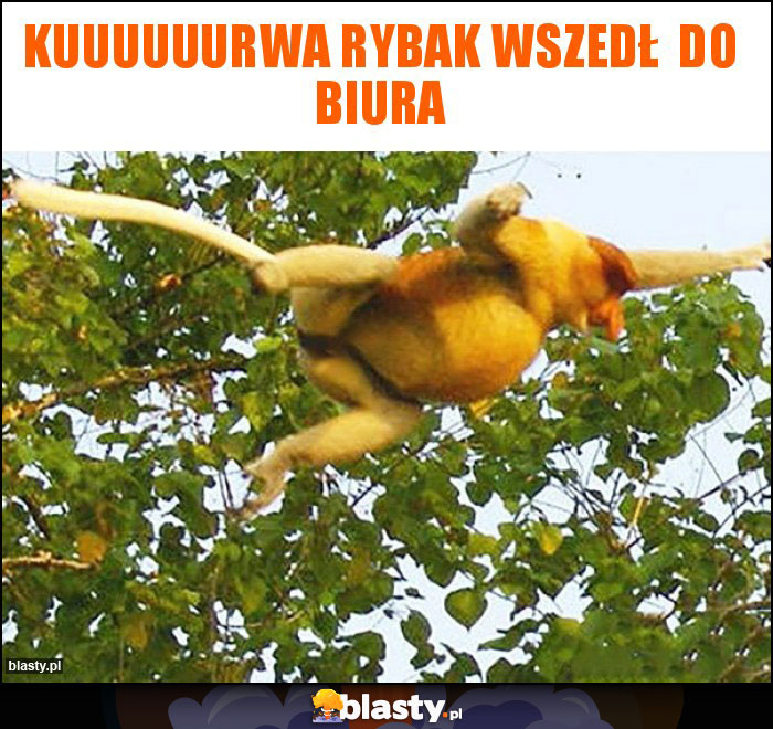 Kuuuuuurwa rybak wszedł  do biura