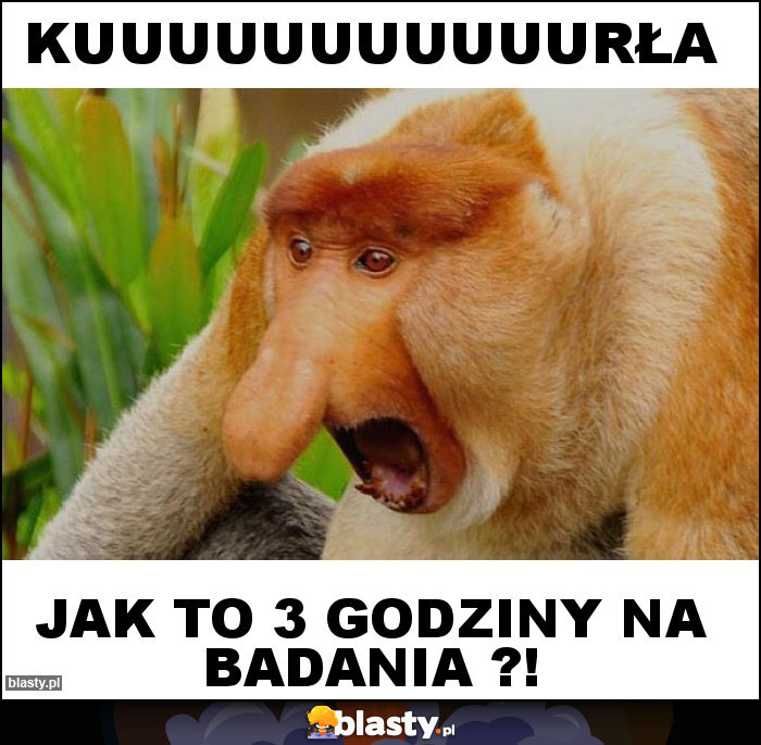 KUUUUUUUUUUURŁA