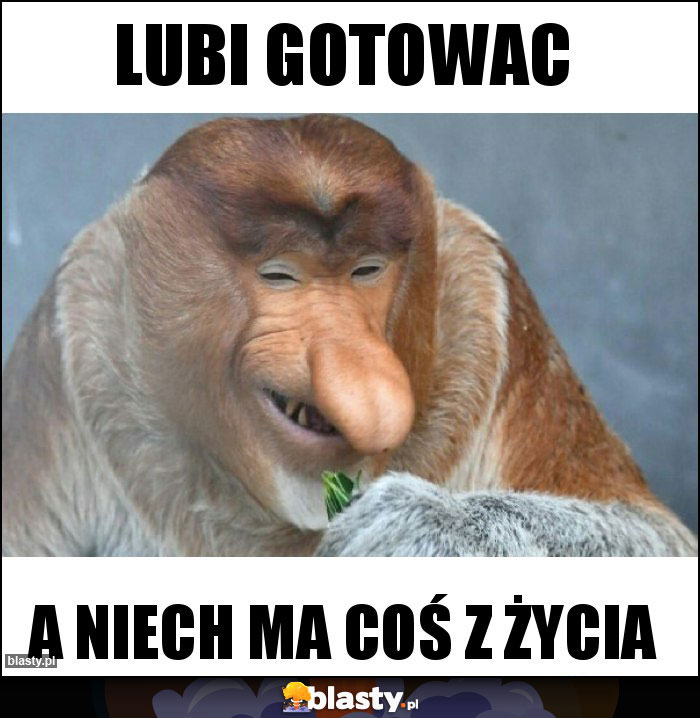 Lubi gotowac