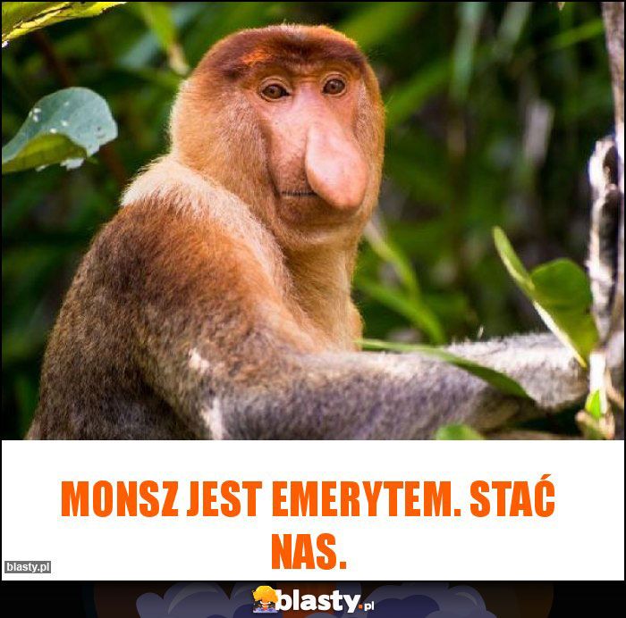 Monsz jest emerytem. Stać nas.