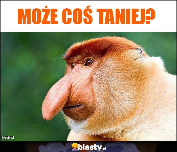 Może coś taniej?