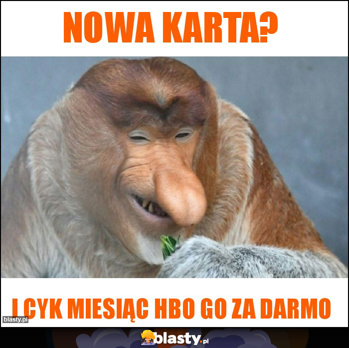 Nowa karta?