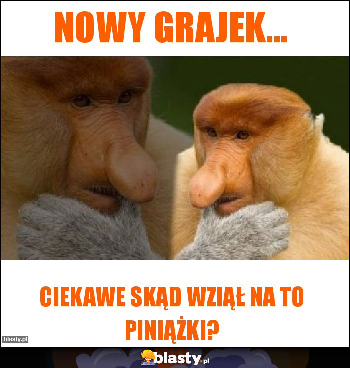 Nowy grajek...