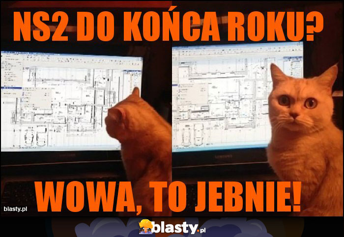 NS2 do końca roku?