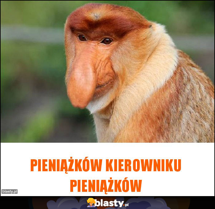 Pieniążków kierowniku pieniążków