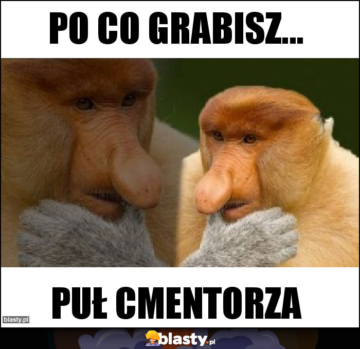 Po co grabisz...