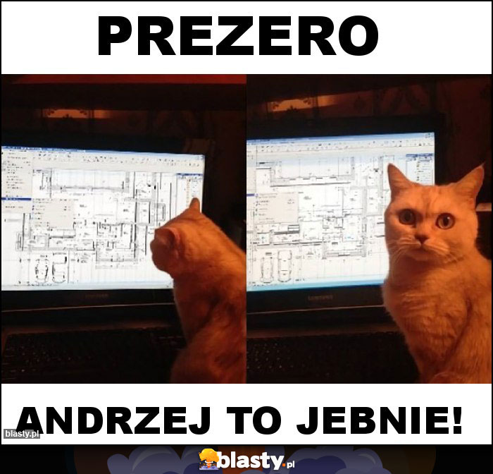 PREZERO