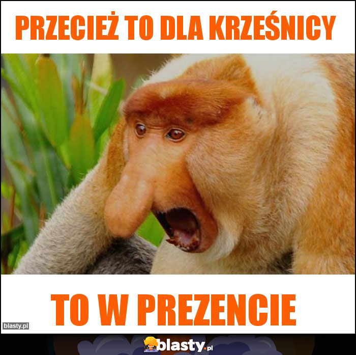 Przecież to dla krześnicy