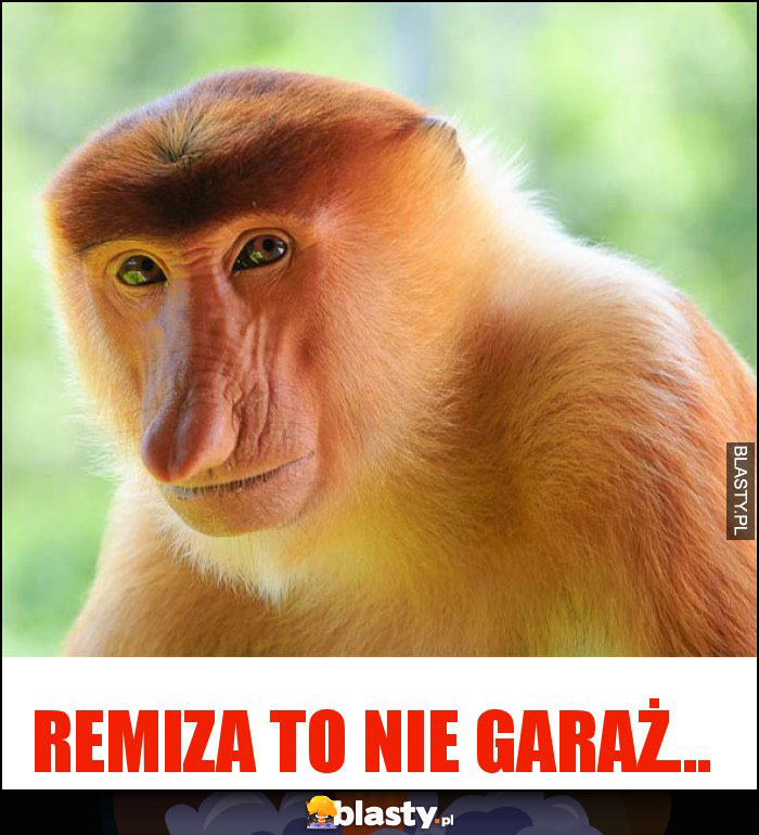 Remiza to nie garaż...