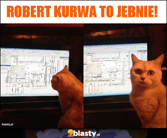 Robert kurwa to jebnie!