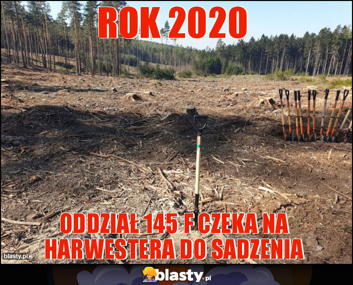 Rok 2020