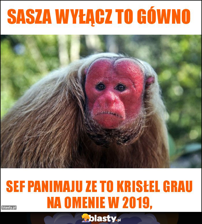 Sasza wyłącz to gówno