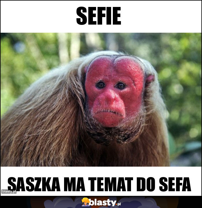 SEFIE