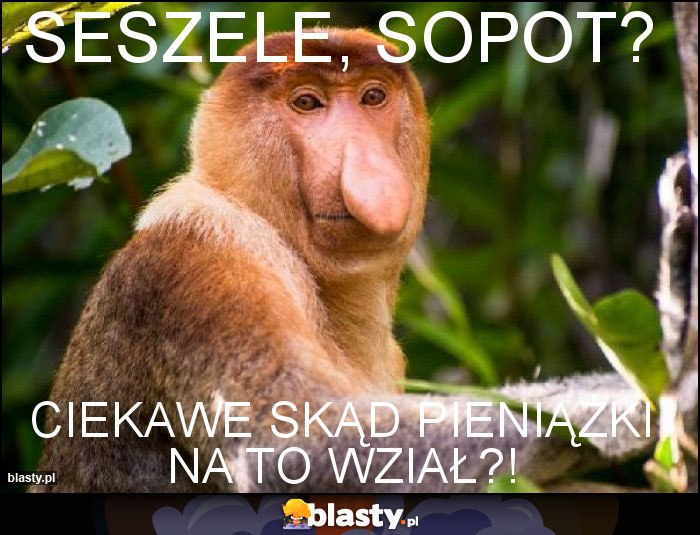 Seszele, sopot?